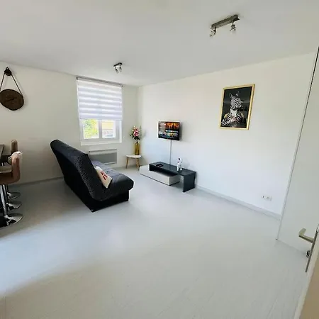 Cocon 50 M2, Terrasse 40 M2 Apartament Thonon-les-Bains