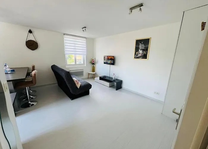 Cocon 50 M2, Terrasse 40 M2 Apartmán Thonon-les-Bains