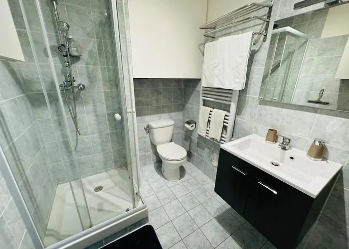 Cocon 50 M2, Terrasse 40 M2 * Thonon-les-Bains